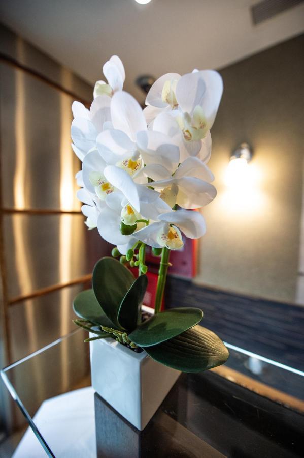 Solita Soho Hotel 纽约 外观 照片
